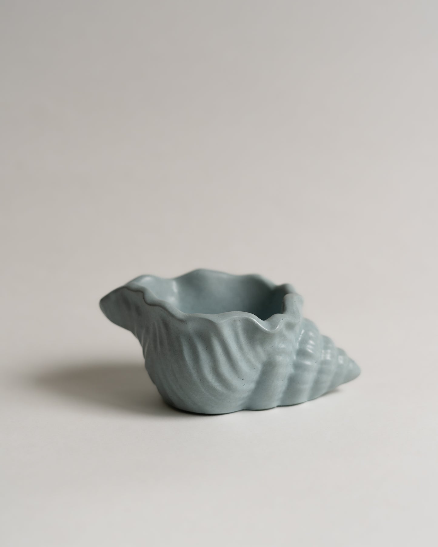 Shell Dish