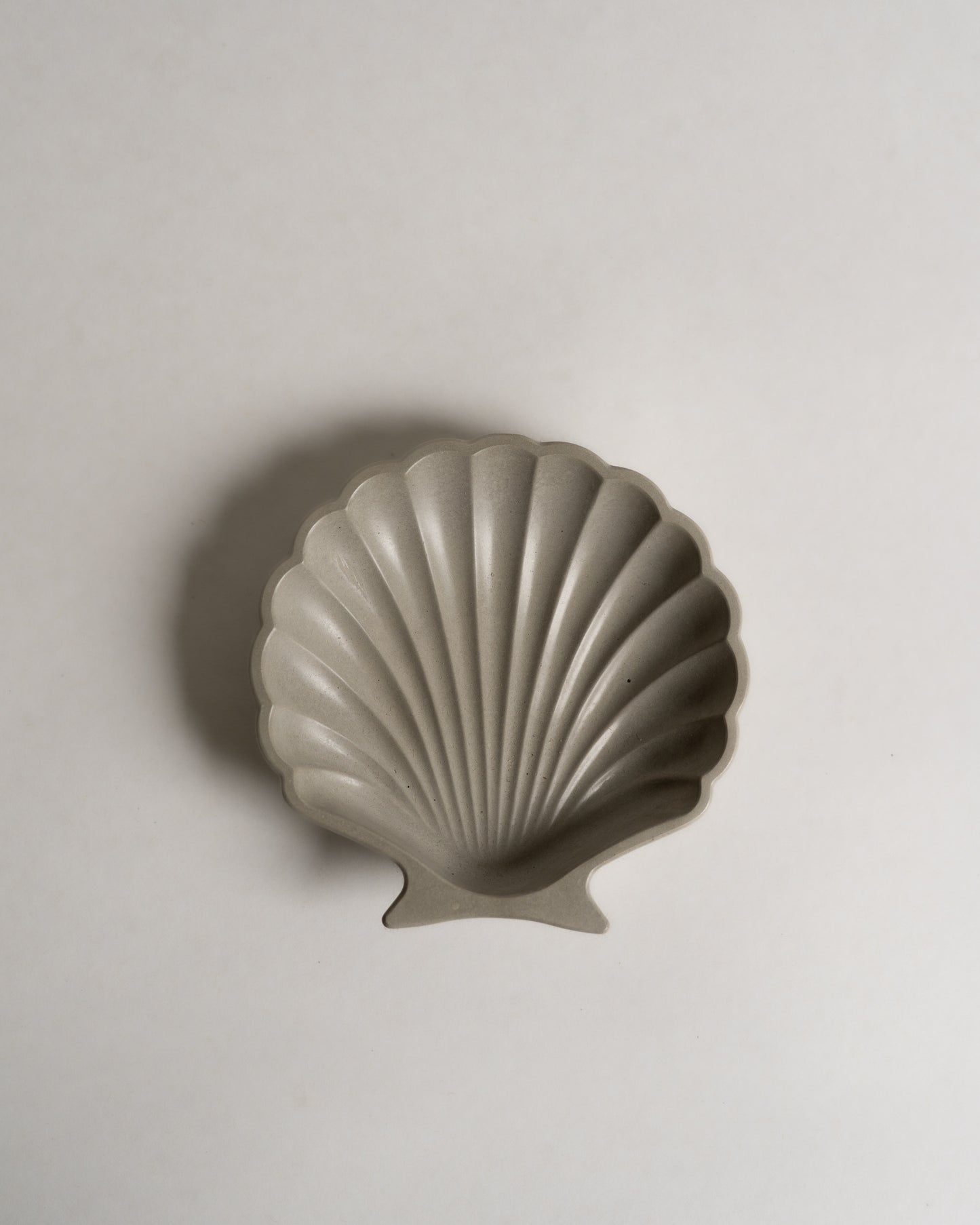 Clam Shell Dish