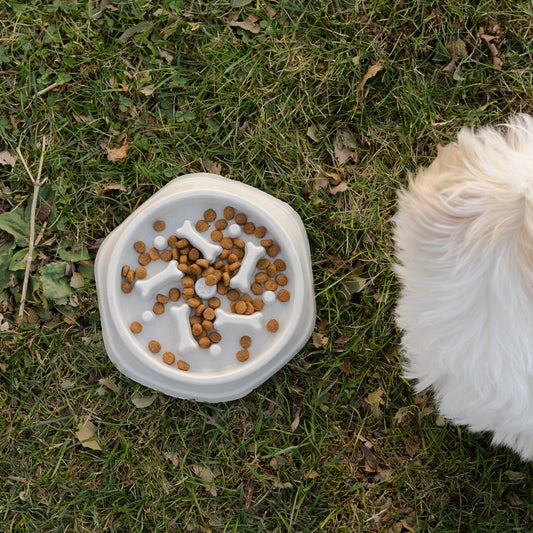 Dog dish