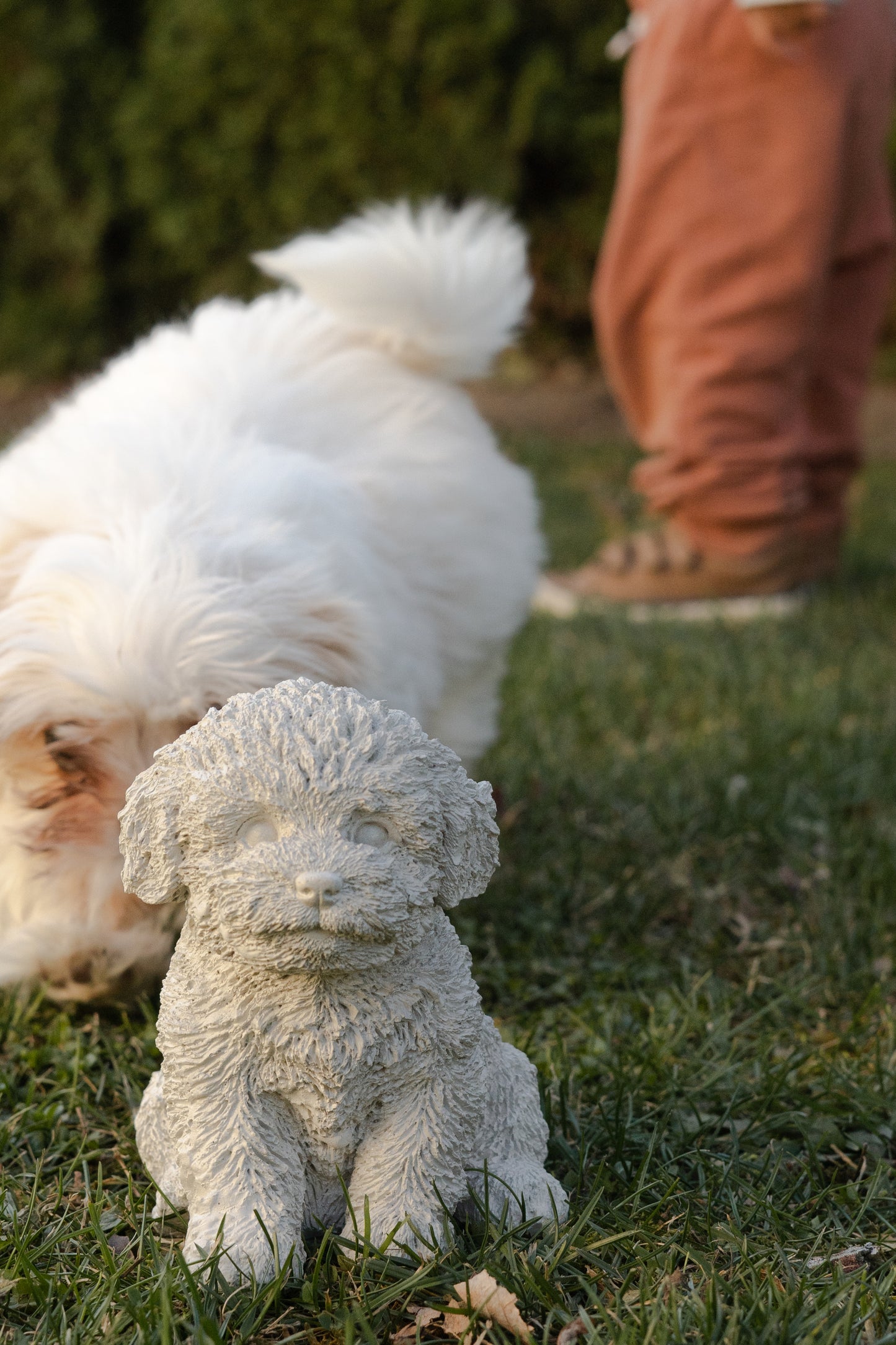 Shih-Tzu Dog Statue