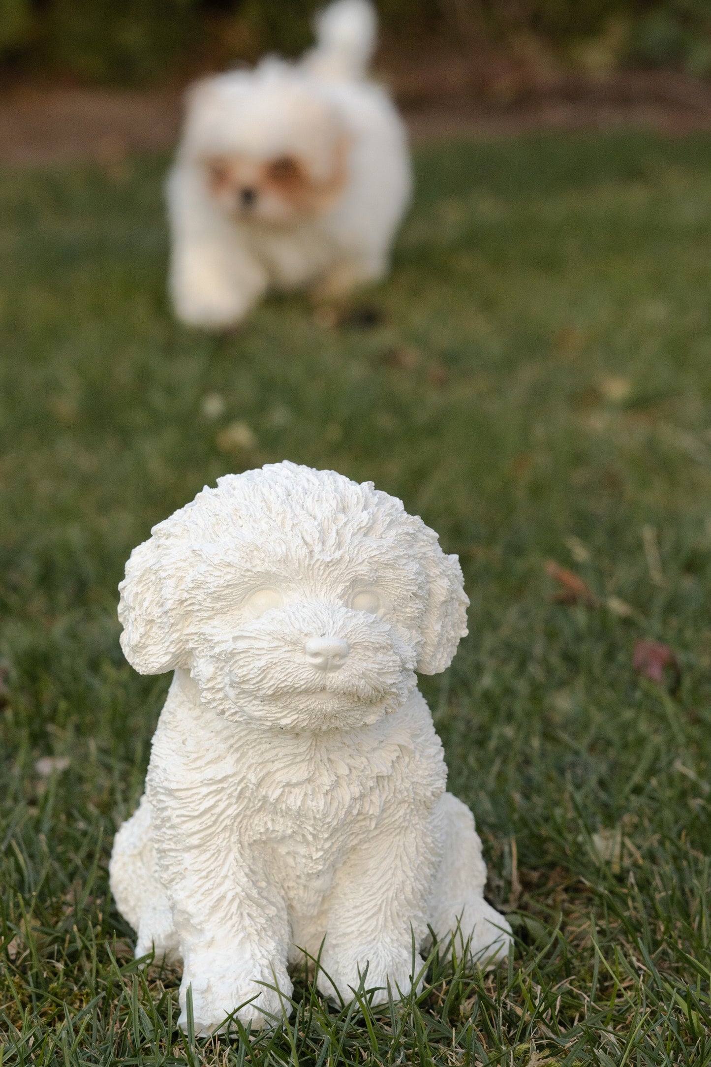 Shih-Tzu Dog Statue