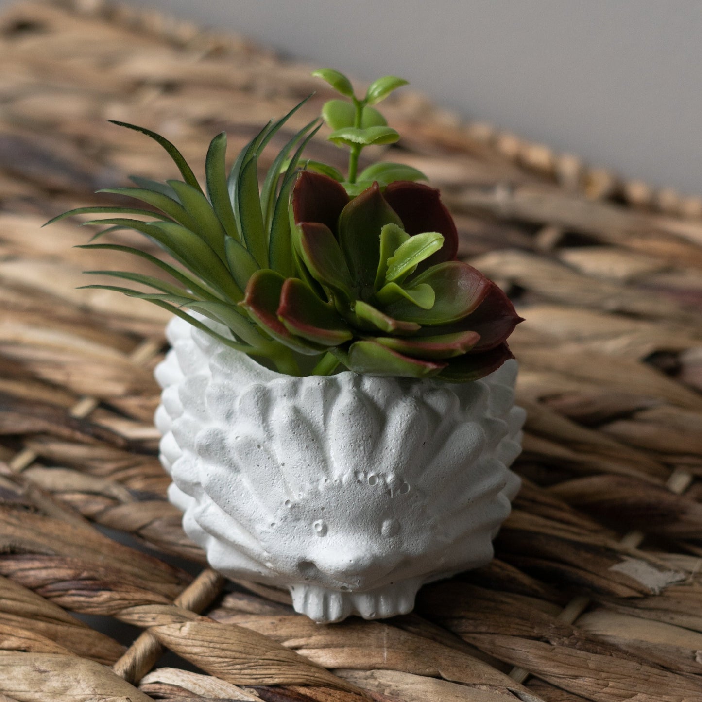 Hedgehog Planter