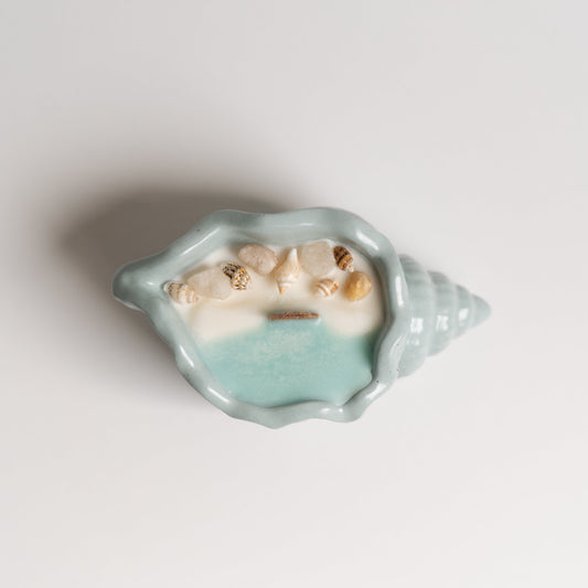 Rocky Shore Shell Candle